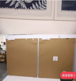 20250114J05 蕨类植物2联装饰画 外框尺寸：52*61 厘米 出口品质 带玻璃