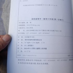 培优新帮手：小学数学6年级