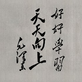 毛体书法，毛主席，好好学习天天向上。无印。约30*30cm。白底宣纸。