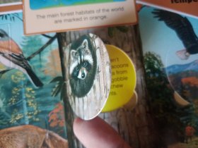 ANIMALS LIFE-THE-FLAP BOOK 动物翻翻书