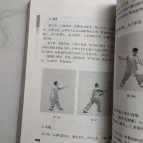 史式八卦掌