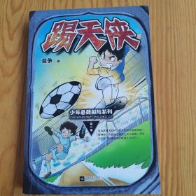 踢天侠，少年悬疑探险系列，2024年，6月2号上，