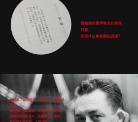 异乡人 加缪 诺贝尔文学奖得主二十世纪法国文学经典 直击你我仍然不羁的心灵 清华大学赵晓力老师导读推荐