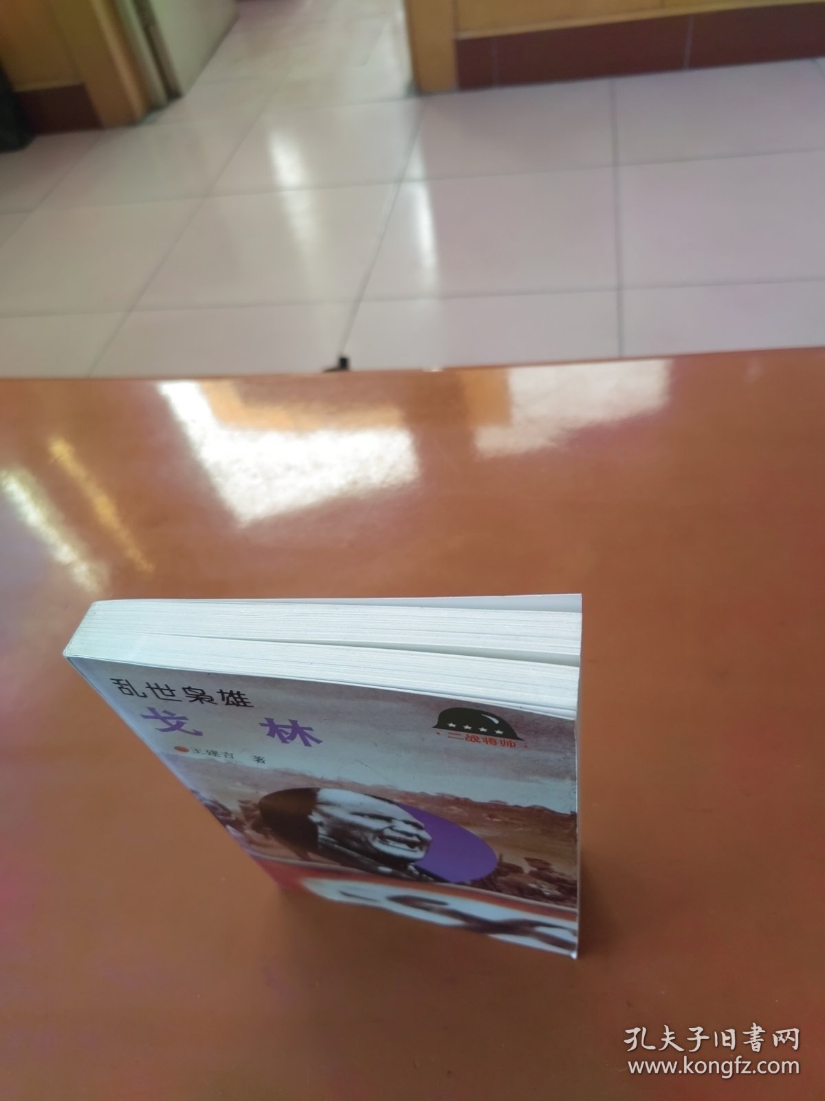 乱世枭雄——戈林