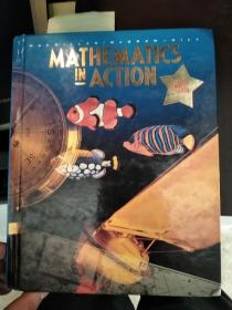 MATHEMATICS IN ACTION 外文原版