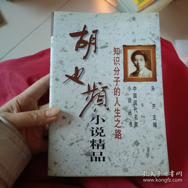 知识分子的人生之路-胡也频小说