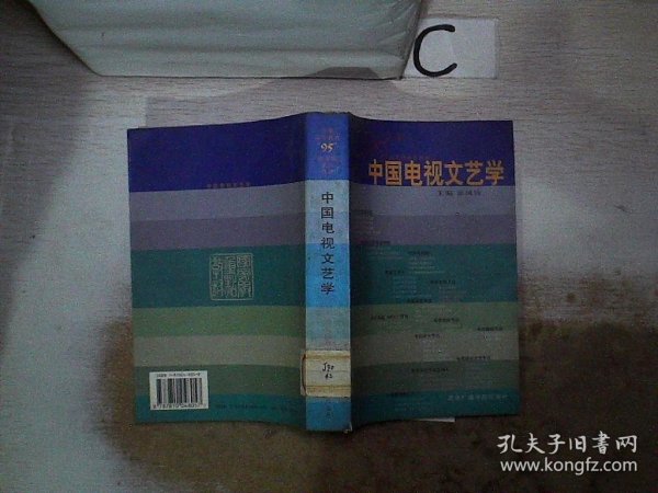 中国电视文艺学