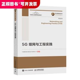 国之重器出版工程5G组网与工程实践