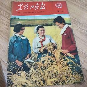 黑龙江画报1960第十一期