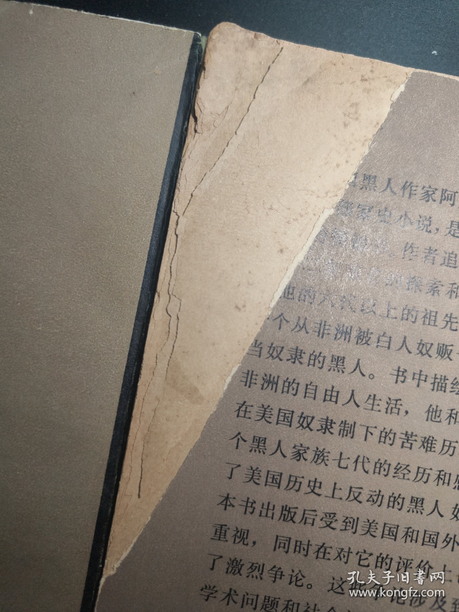 根 一个美国家族的历史 上下