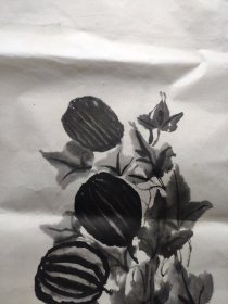 著名老中医肿瘤专家南京中医药大学教授归翁兽鱼鸟画集归翁花鸟画集原画19