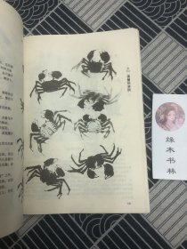 中国写意花鸟画技法