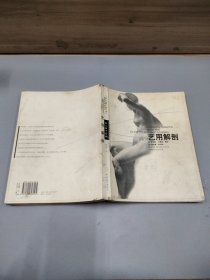 艺用解剖