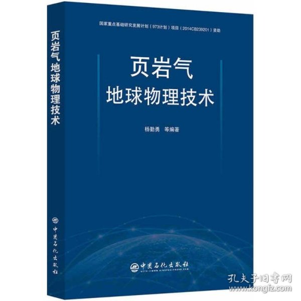 正版书页岩气地球物理技术