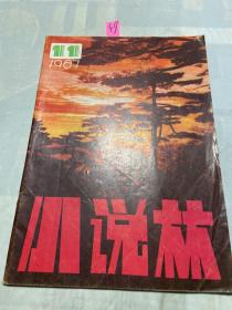 小说林1987 11