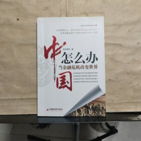 中国怎么办：当金融危机改变世界