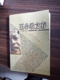 王小波文存