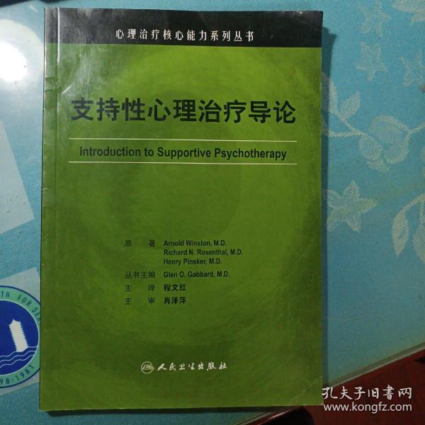 心理治疗核心能力系列丛书·支持性心理治疗导论（翻译版）