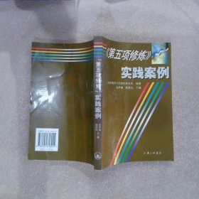 第五项修炼实践案例