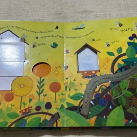 Peep Inside Animal Homes  Board book