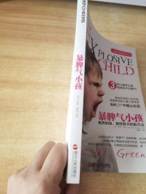 暴脾气小孩：教养执拗、易怒孩子的新方法