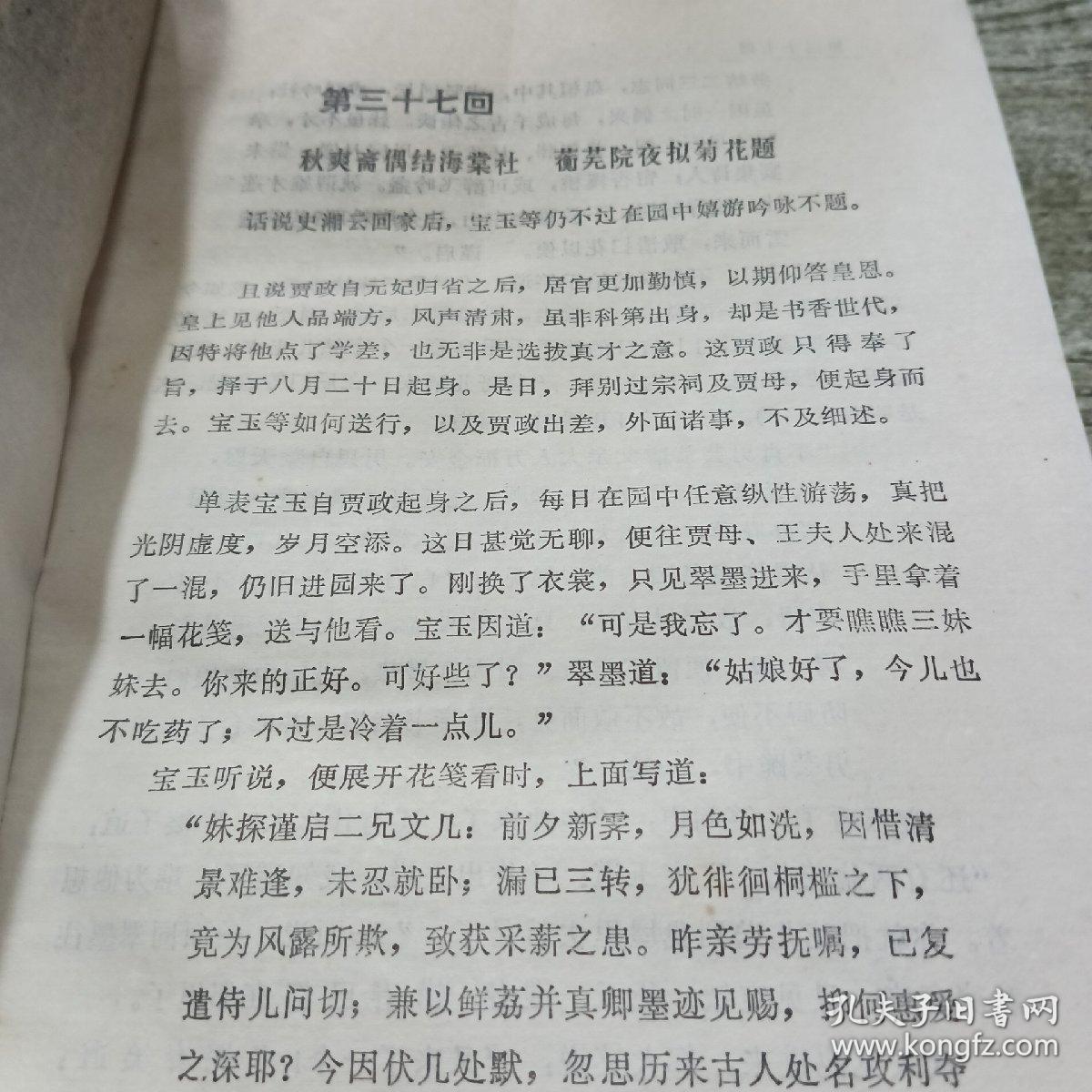 红楼梦 古典文学名著丛书亚东版  中