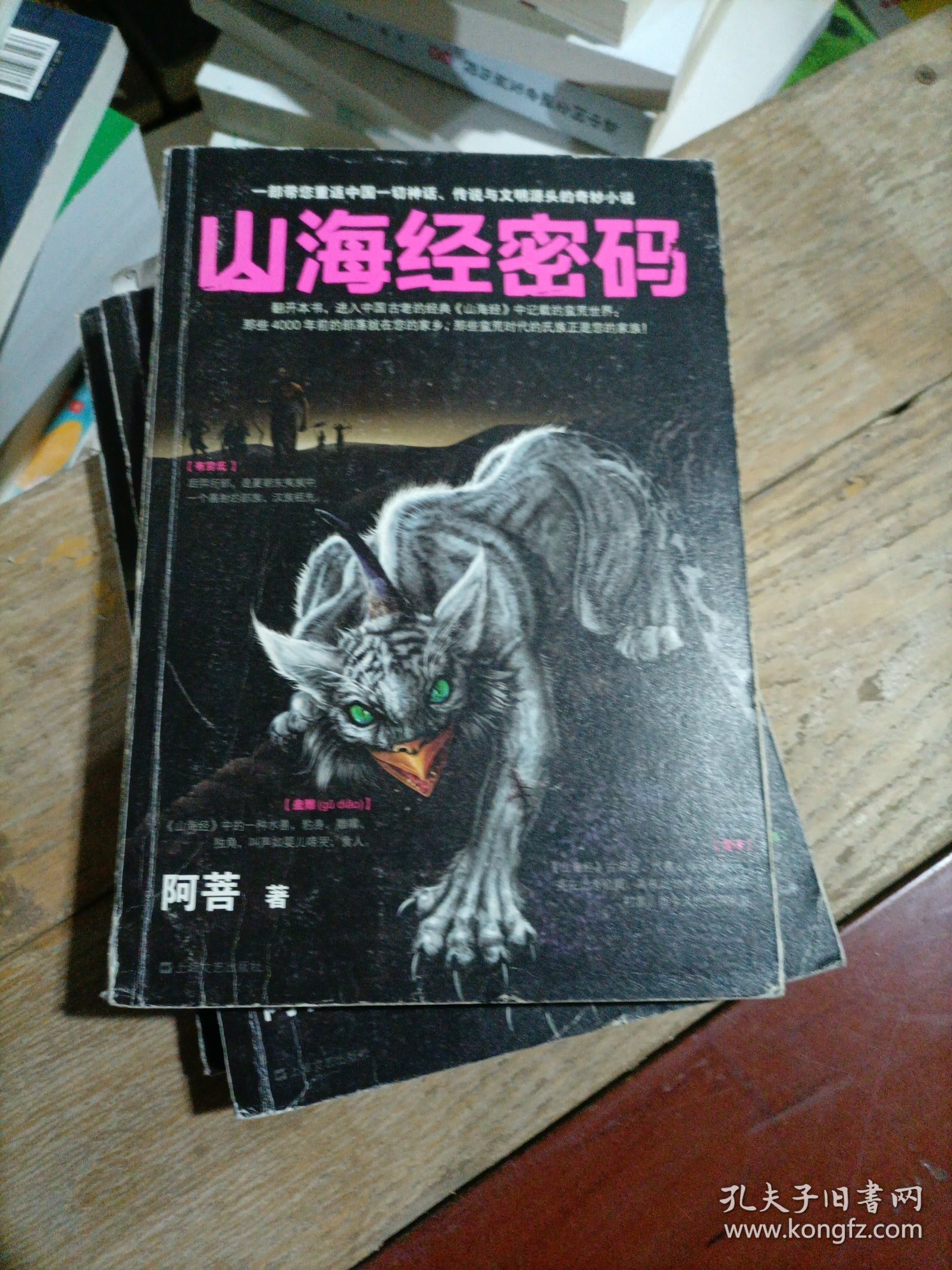 山海经密码大全集（套装全5册）只有一册