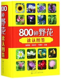 全新正版 800种野花速认图鉴(精) 杨辉霞 9787122319579 化学工业出版社