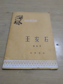 中国历史小丛书：王安石