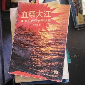 血祭大江:中日武汉会战纪实