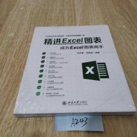 精进Excel图表成为Excel图表高手