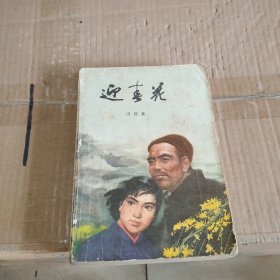 迎春花