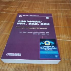 全球电力市场演进：新模式、新挑战、新路径