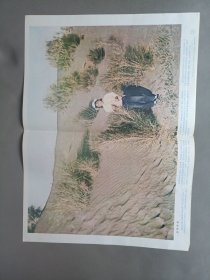 初级中学课本动物学教学挂图——我国的植物群落(全9幅)