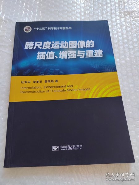 跨尺度运动图像的插值、增强与重建 