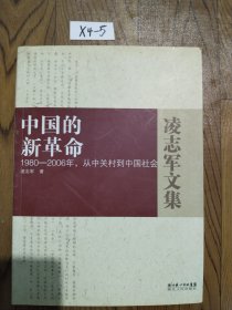 中国的新革命－1980－2006年，从中关村到中国社会