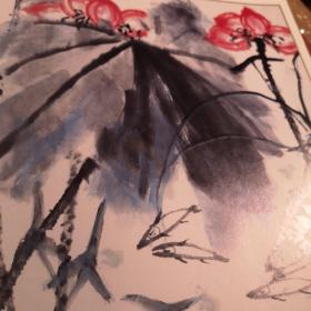 中国画精品选 北京出版G柜边区