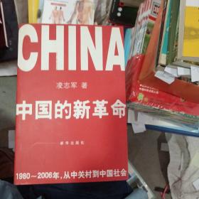 中国的新革命：1980-2006年，从中关村到中国社会