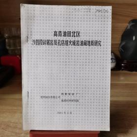 高青油田北区沙四段碎屑岩及孔店组火成岩油藏地质研究