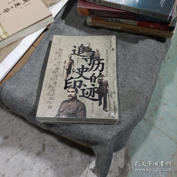 追寻历史的印迹 杨天石解读海外秘档(平装未翻阅无破损无字迹)