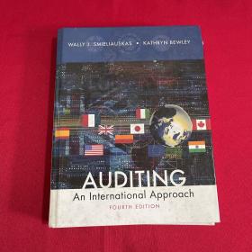 auditing an international Approach