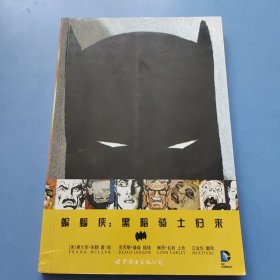 《蝙蝠侠：黑暗骑士归来》 品看图自定