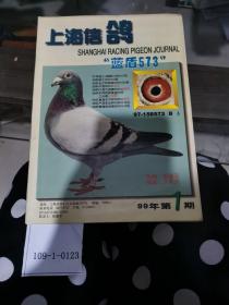 上海信鸽1999年第1期