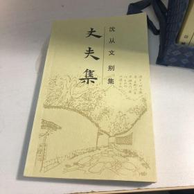 沈从文别集：沈从文别集(全20册)