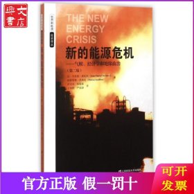 新的能源危机--气候经济学和地缘政治(第2版)/世界新能源投资译丛