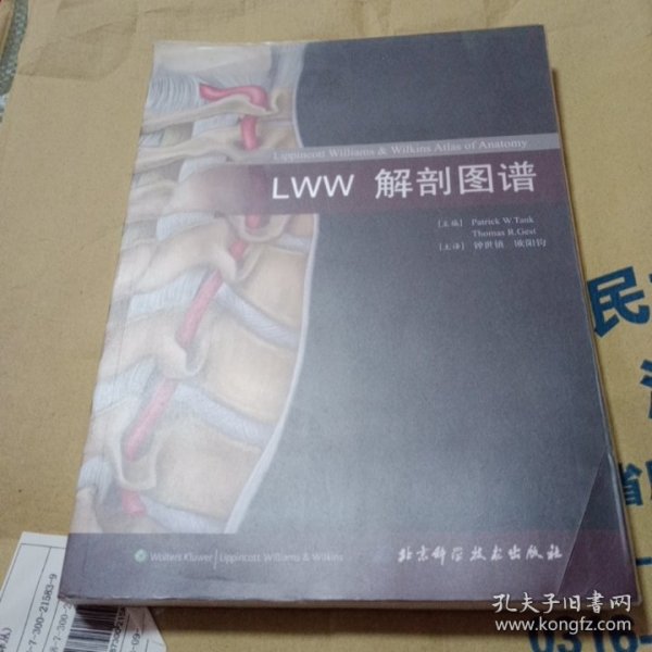 LWW解剖图谱