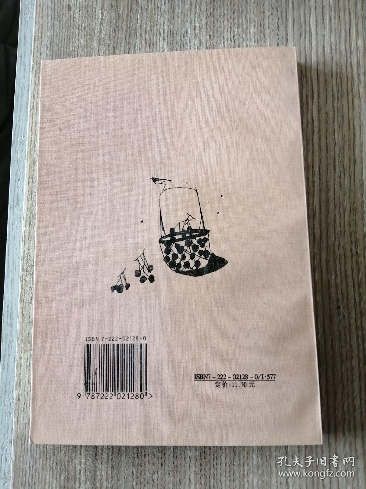 阿劳卡依玛山庄：阿尔瓦罗·穆蒂斯作品集