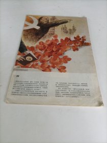 解放军画报 缺封面 大约1979