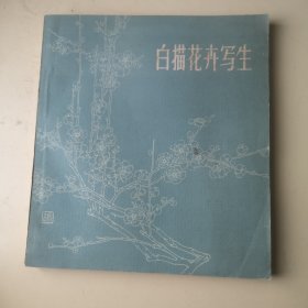 白描花卉写生