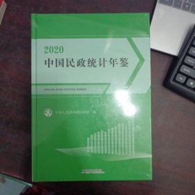 中国民政统计年鉴2020（附光盘）全新未开封